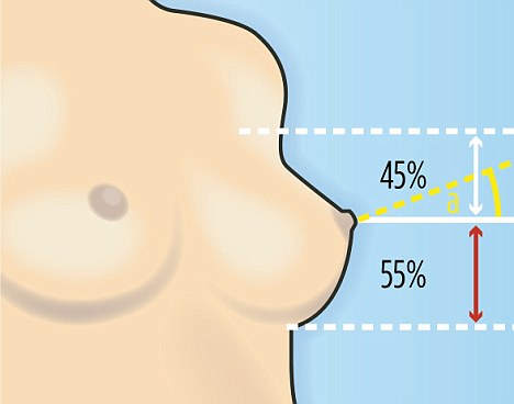 Who Has the Perfect Breasts?  Houston Plastic & Reconstructive Surgery